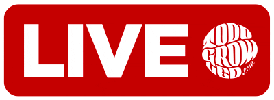 Live